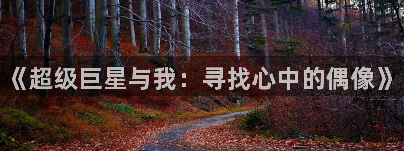 富联娱乐：《超级巨星与我：寻找心中的偶像》