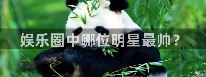 富联娱乐：娱乐圈中哪位明星最帅？