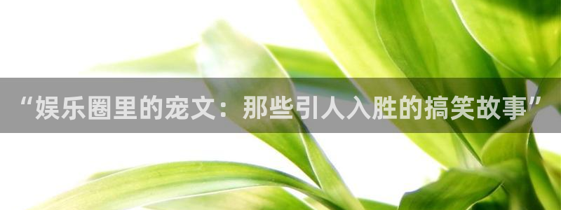 富联娱乐：“娱乐圈里的宠文：那些引人入胜的搞笑故事”